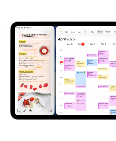 iPad, orientasi lanskap, sisi kiri layar menampilkan aplikasi Jurnal
