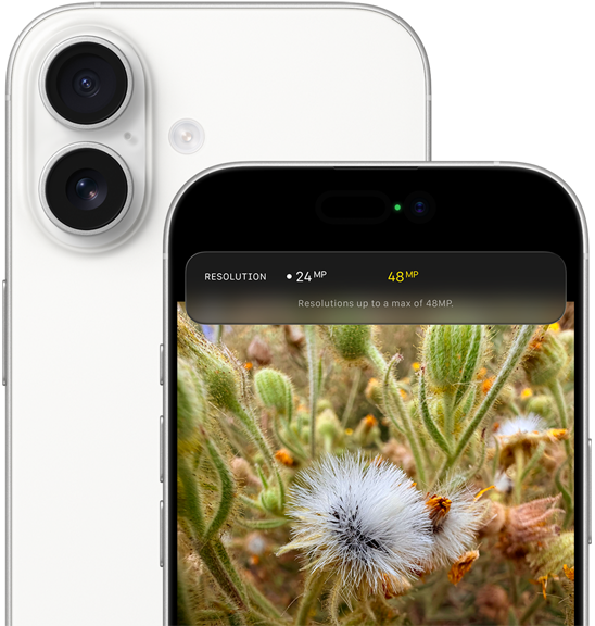 Group selfie with Centre Stage for photos feature